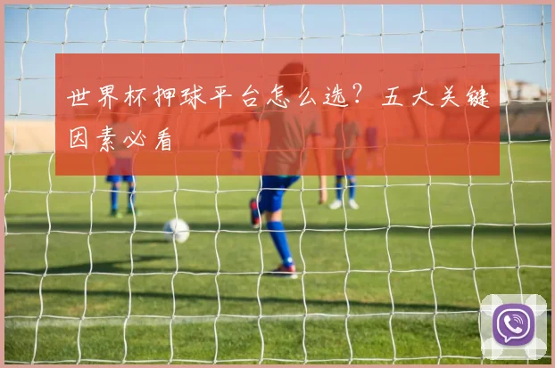 世界杯押球平台怎么选？五大关键因素必看
