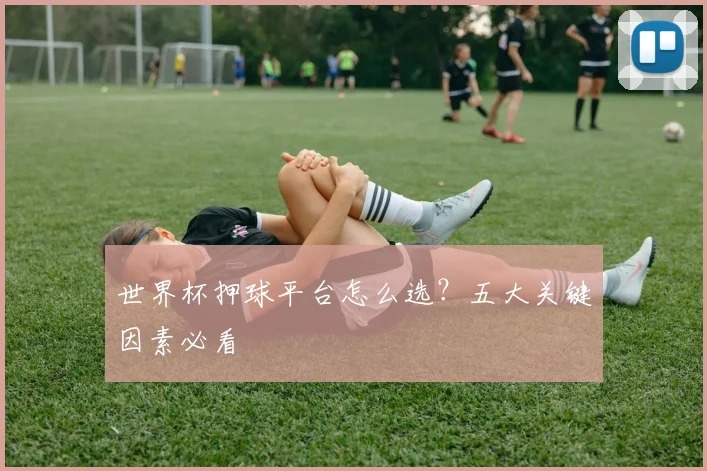 世界杯押球平台怎么选?五大关键因素必看