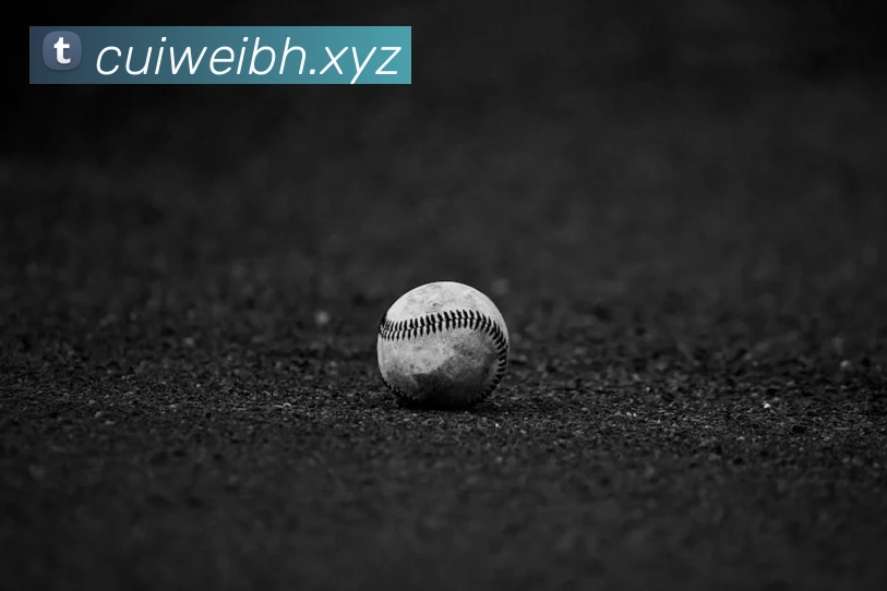 九游官网入口老版本品牌故事